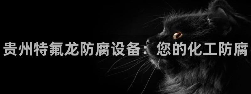 新城平台登录入口官网网址