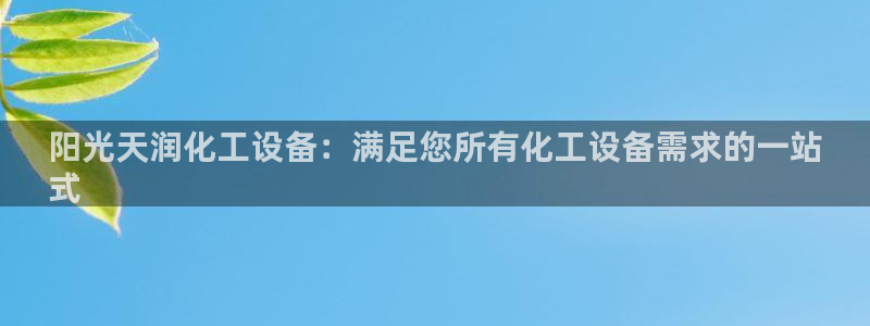 新城平台登录入口官网首页下载