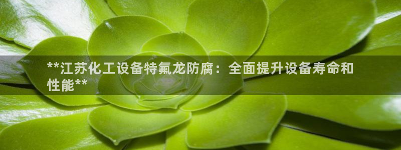 新城平台登录密码忘了