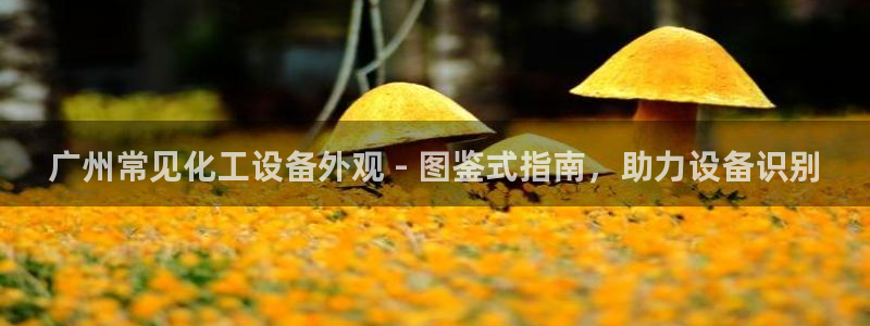 新城平台登录