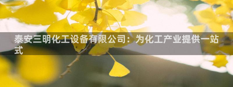 新城平台负责人电话