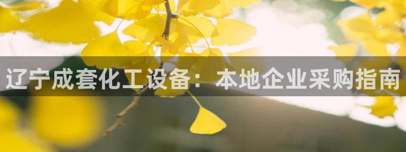 新城平台线路登录不上去怎么回事儿