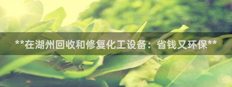 新城平台代理