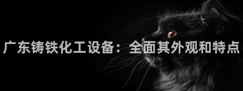 新城平台官网首页网址