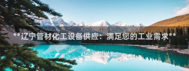 新城平台登录