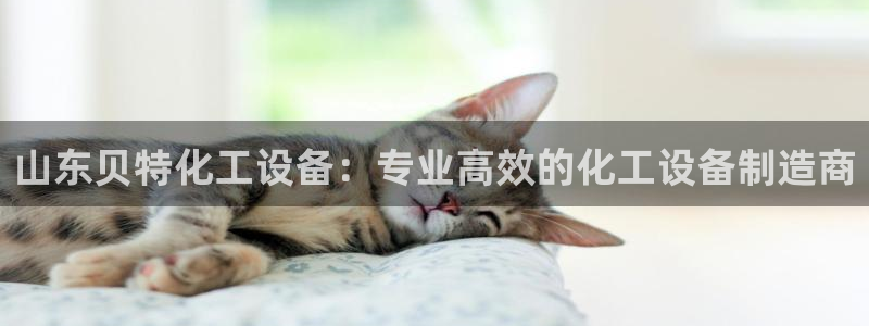 新城平台登录入口网址