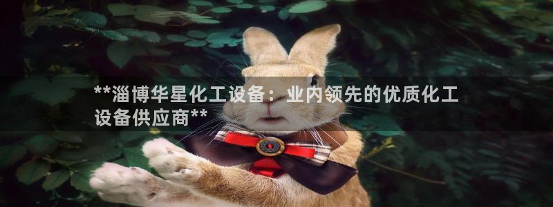 新城平台注册登录地址在哪