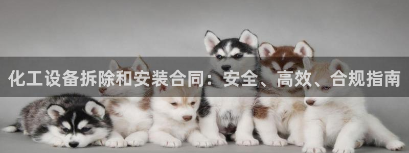 新城平台登录入口网站