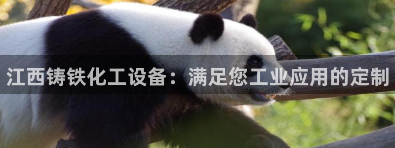 新城平台注册资金多少