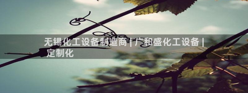新城平台线路登录不上去怎么回事