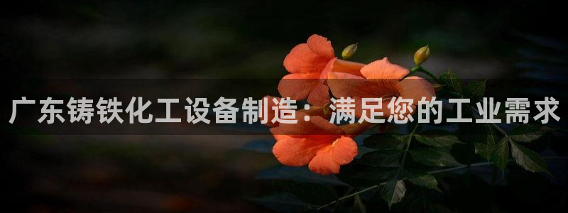 新城平台注册公司流程视频