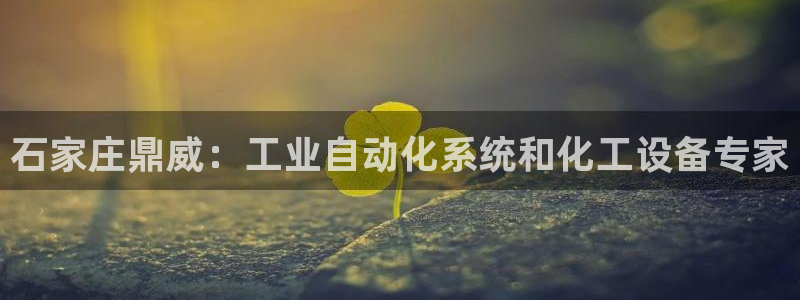新城平台代理注册流程