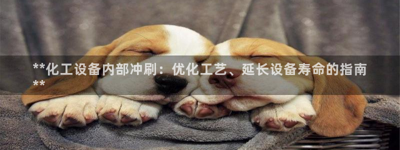 新城平台注册