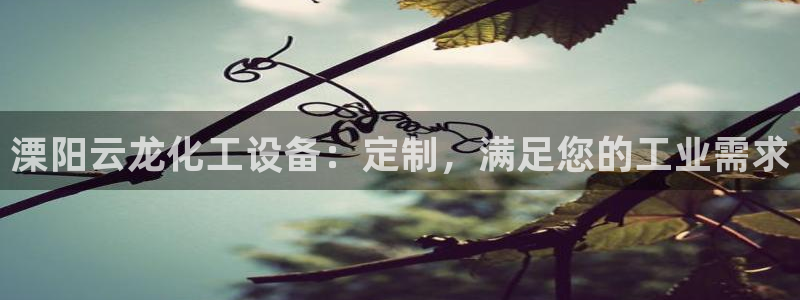 新城平台登录入口官网网址查询