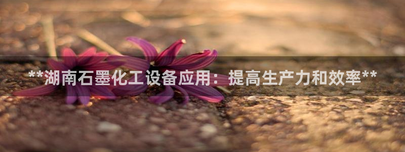 新城平台线路登录不上去怎么回事呢