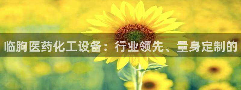 新城平台登录入口官网下载安装