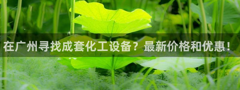 新城平台企业信息查询