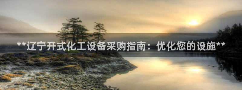 新城平台开户：**辽宁开式化工设备采购指南：优化您