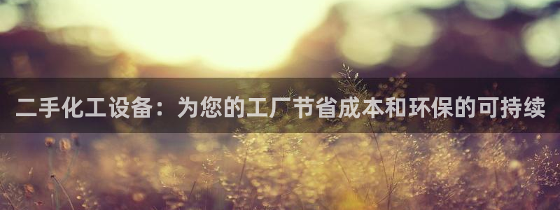 新城平台公司