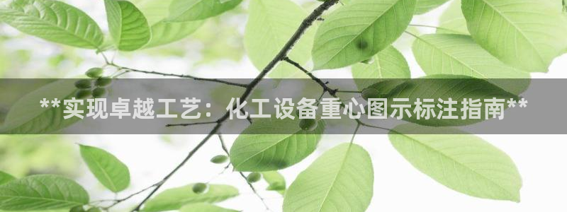 新城平台官网注册账号