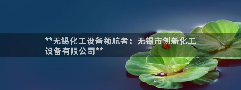新城平台注册流程图