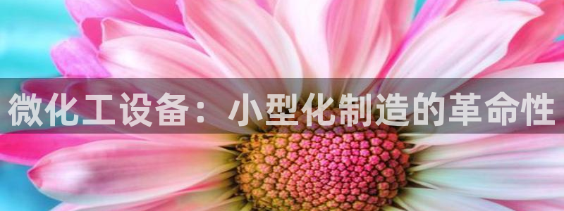 新城平台登录密码忘了
