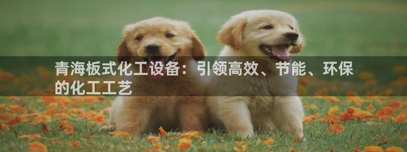 新城平台怎么样