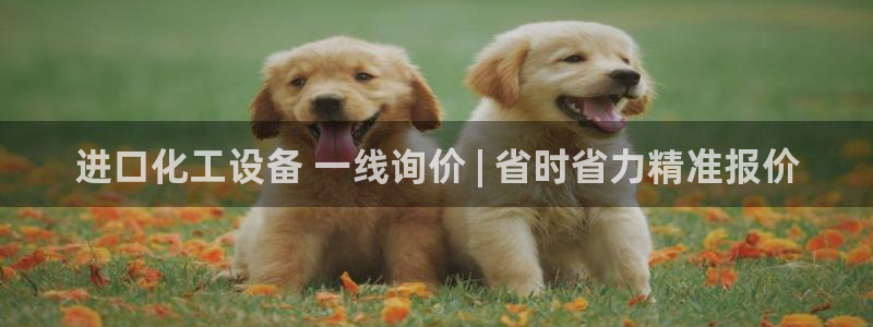 新城平台官网首页登录