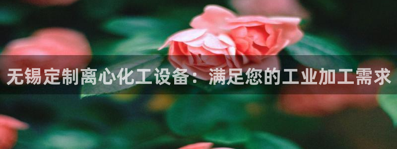 新城平台是干嘛的