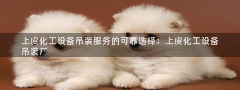 新城平台线路登录不上去了怎么办