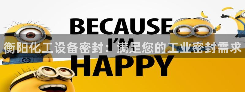 新城平台主管：衡阳化工设备密封：满足您的工业密封需