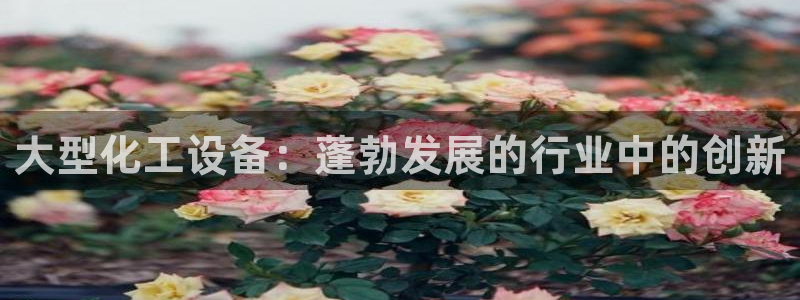 新城平台开户