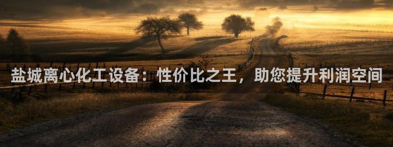 新城平台总代