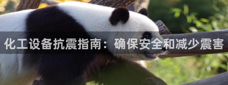 新城平台是干嘛的公司有哪些