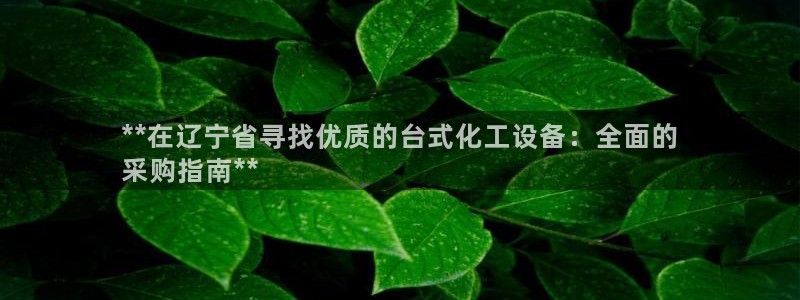 新城平台登录入口官网首页：**在辽宁省寻找优质的台