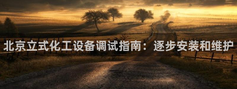 新城平台代理注册公司