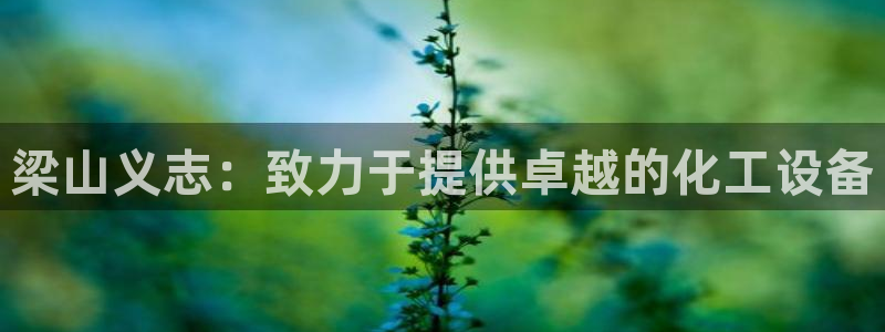 新城平台平台