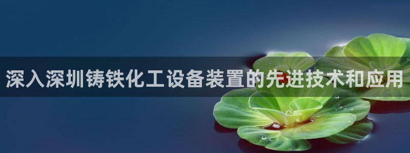 新城平台注册流程及费用