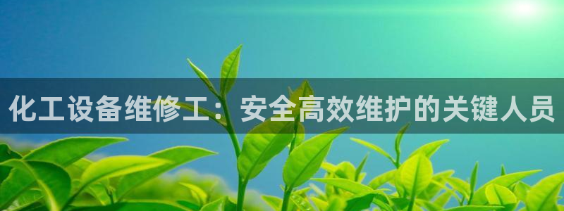 新城平台公司