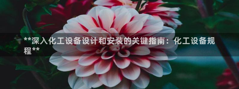 新城平台注册流程及费用