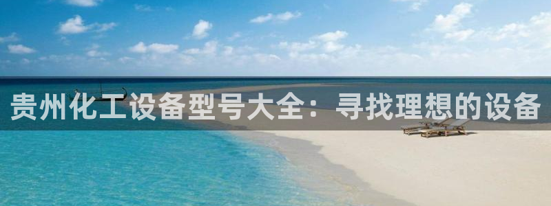 新城平台登录入口官网首页查询