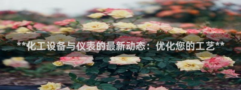 新城平台注册流程