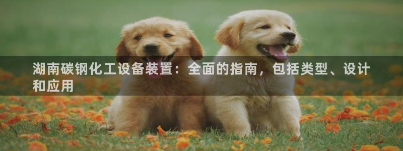 新城平台注册网址