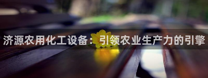 新城平台登录入口官网查询信息