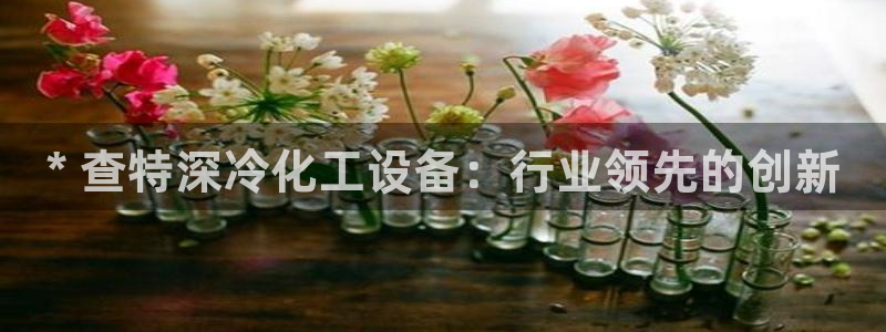 新城平台线路登录不上去了怎么回事：* 查特深冷化工