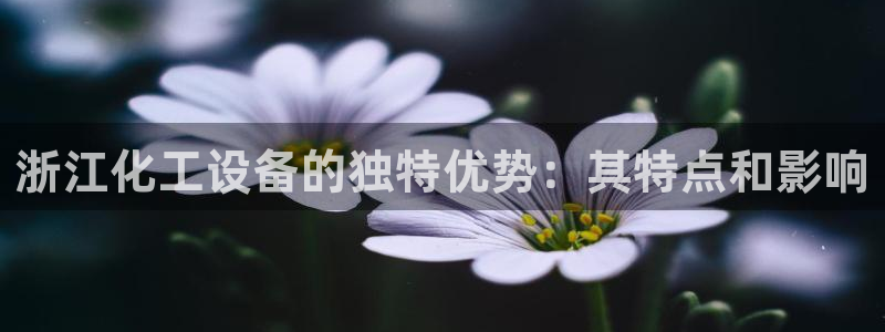 新城平台公司：浙江化工设备的独特优势：其特点和影响