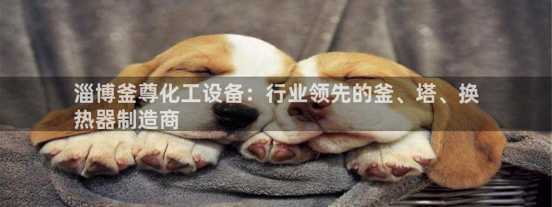 新城平台登录密码忘了怎么办：淄博釜尊化工设备：行业