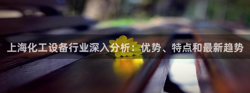 新城平台登录入口官网查询信息：上海化工设备行业深入分析：优势