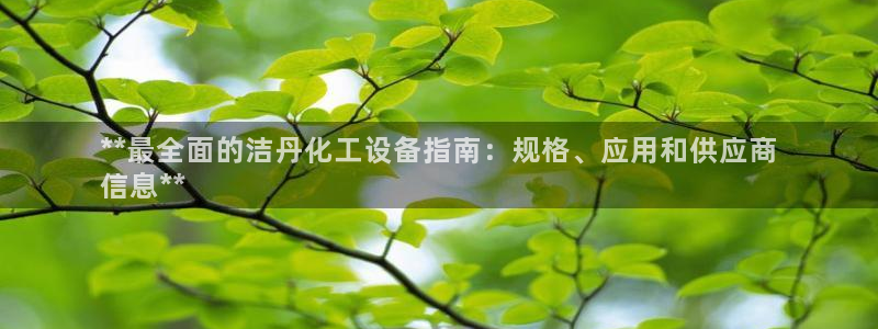 新城平台进·新城平台：**最全面的洁丹化工设备指南：规格、应