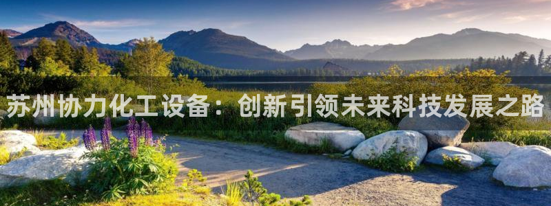 新城平台代理电话